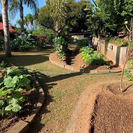 Ferienwohnung Finca Monica Отель Ла-Матанса-де-Асентехо