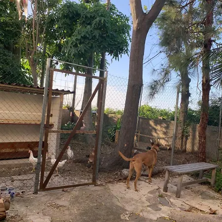 Отель Ferienwohnung Finca Monica Ла-Матанса-де-Асентехо