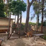 ホテル Ferienwohnung Finca Monica La Matanza de Acentejo