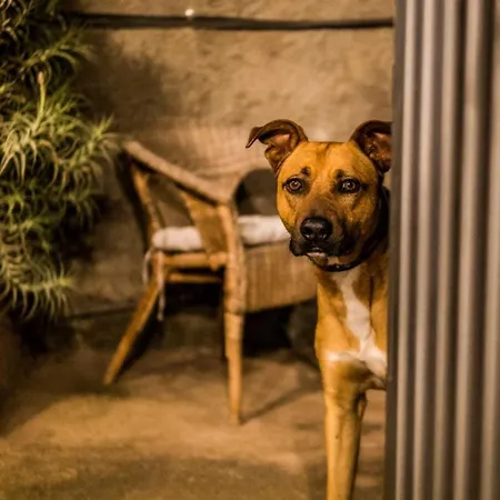 Hotel Ferienwohnung Finca Monica La Matanza De Acentejo