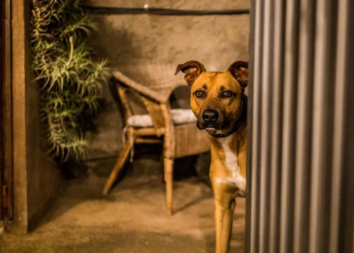 Hotel Ferienwohnung Finca Monica La Matanza De Acentejo