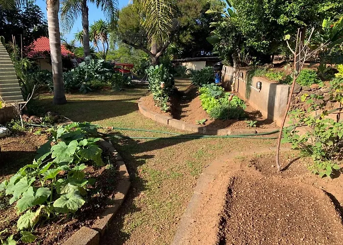 Ferienwohnung Finca Monica Otel La Matanza De Acentejo