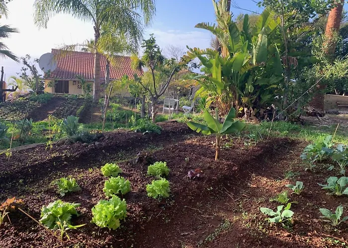 Ferienwohnung Finca Monica *