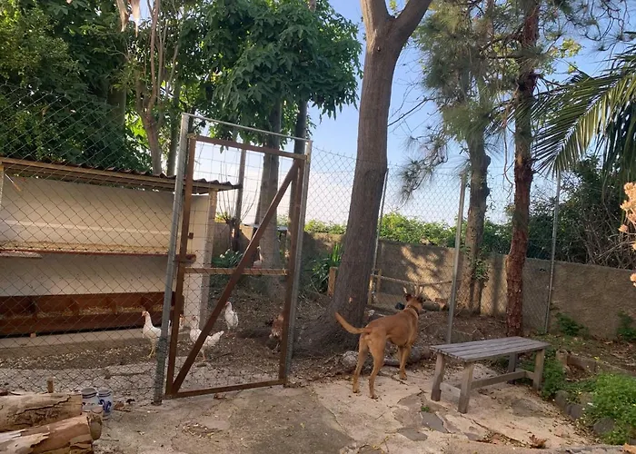 Hotel Ferienwohnung Finca Monica La Matanza De Acentejo