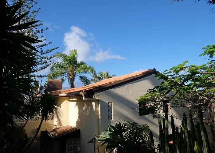 Otel Ferienwohnung Finca Monica La Matanza De Acentejo